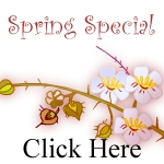 Red Roof Spring Specials